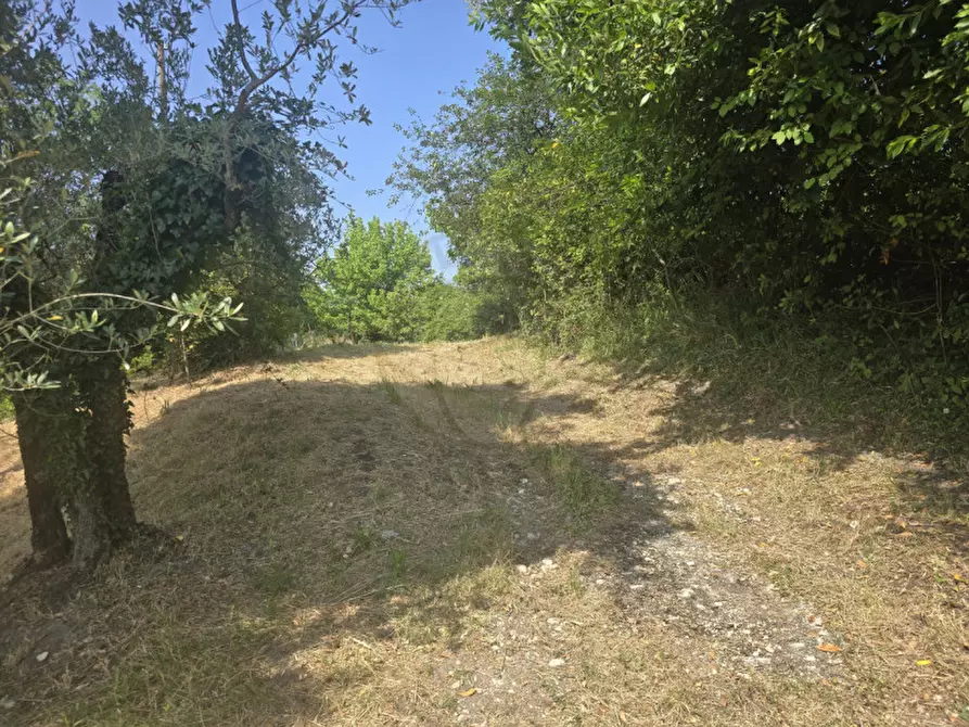 Immagine 11 di Terreno in vendita  in Strada Salaria a Terni