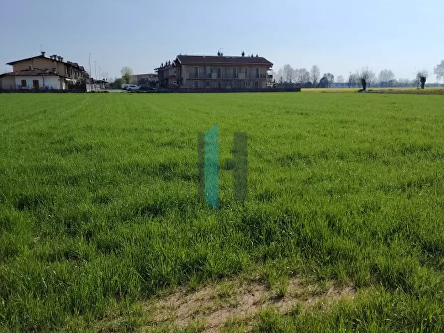Immagine 4 di Terreno in vendita  a Travagliato