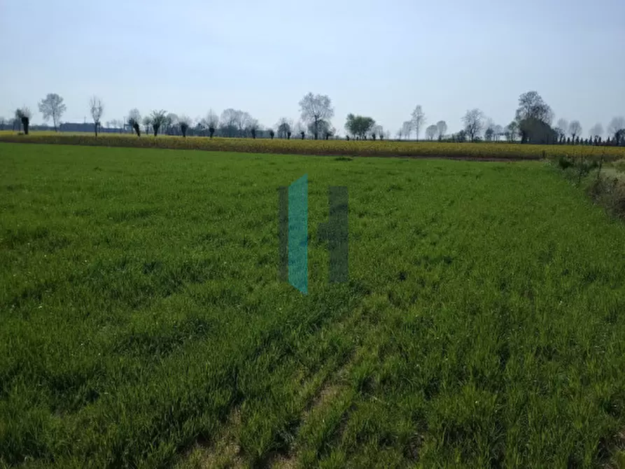 Immagine 11 di Terreno in vendita  a Travagliato