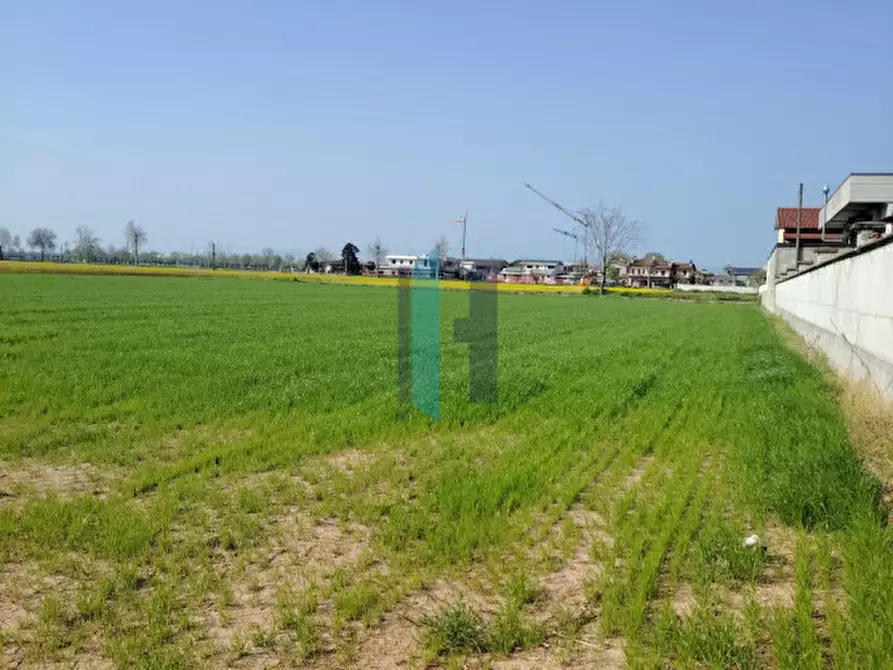 Immagine 13 di Terreno in vendita  a Travagliato