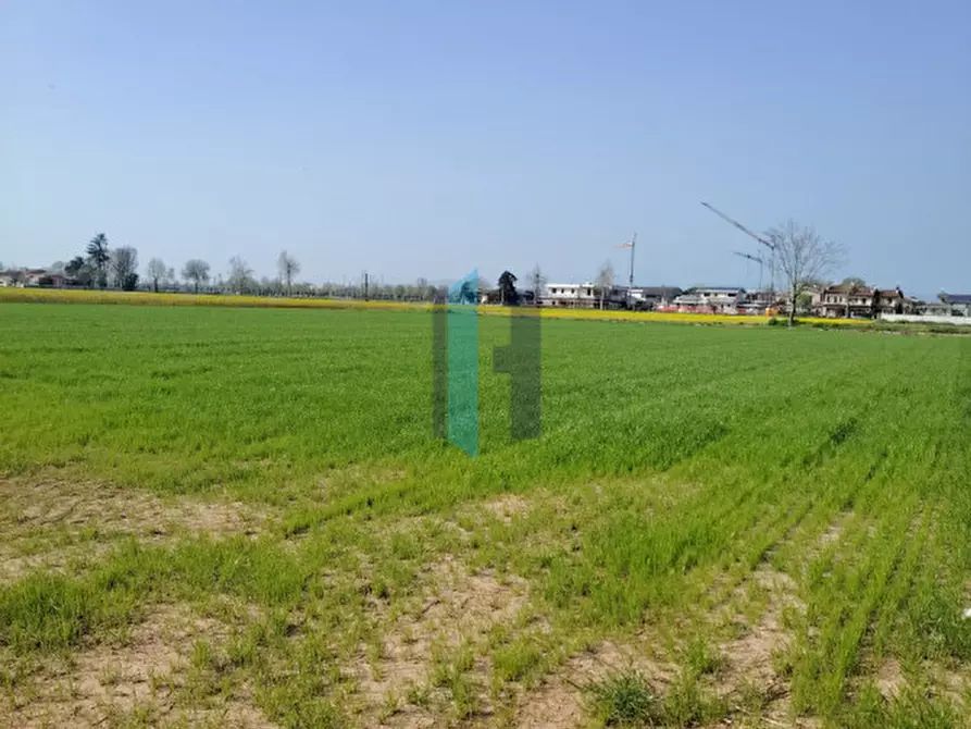 Immagine 14 di Terreno in vendita  a Travagliato