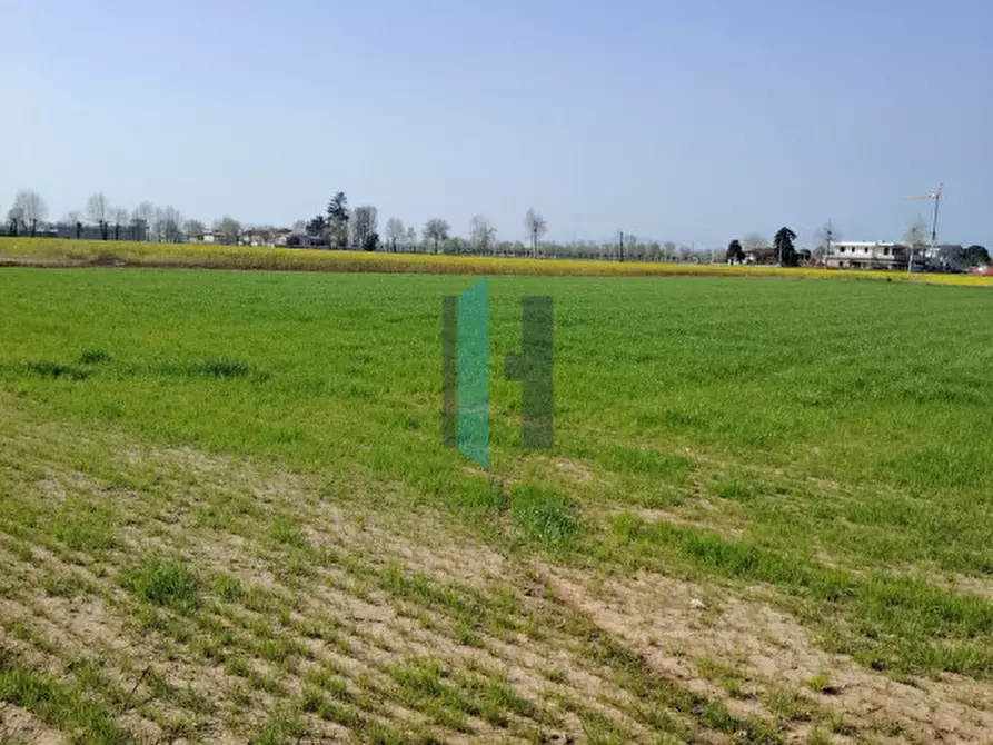 Immagine 17 di Terreno in vendita  a Travagliato