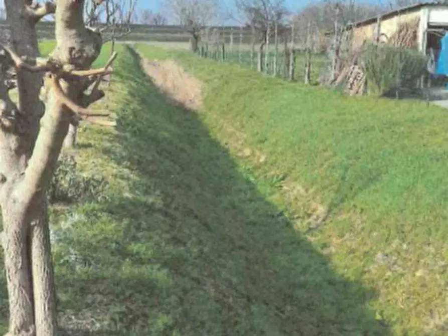 Immagine 10 di Terreno in vendita  in Via Orti a Rovigo