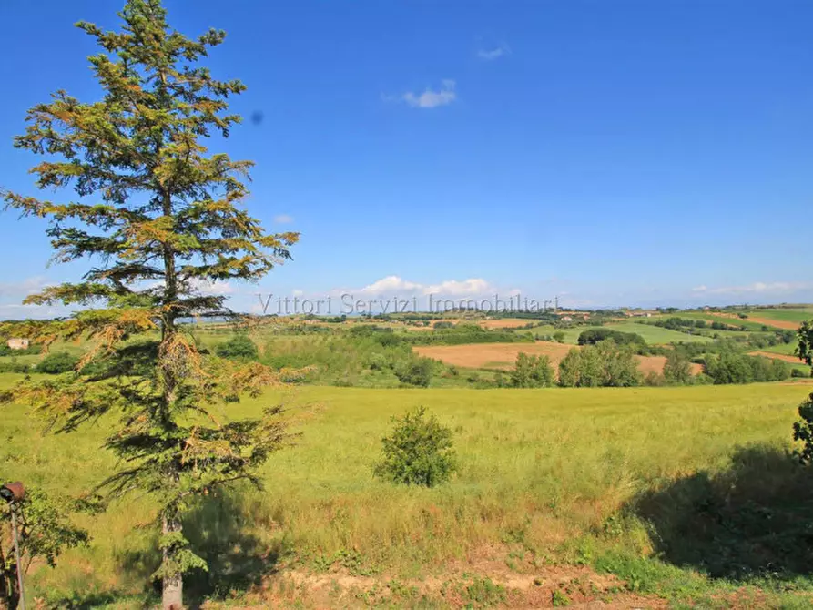 Immagine 7 di Rustico / casale in vendita  in centoia a Cortona