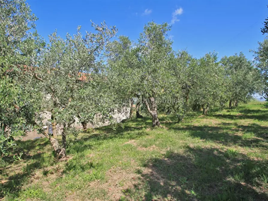 Immagine 26 di Rustico / casale in vendita  in centoia a Cortona