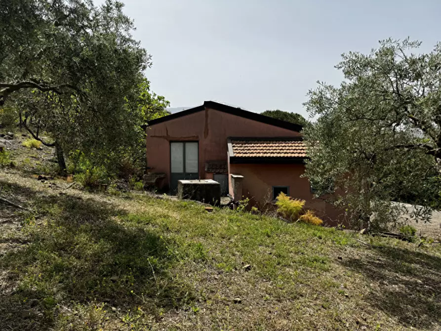 Immagine 1 di Terreno in vendita  in CONTRADA CHIUSA FINOCCHIARO a Randazzo