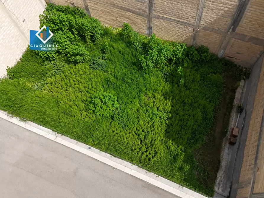 Immagine 7 di Terreno in vendita  in Via Gioberti snc a Palagonia