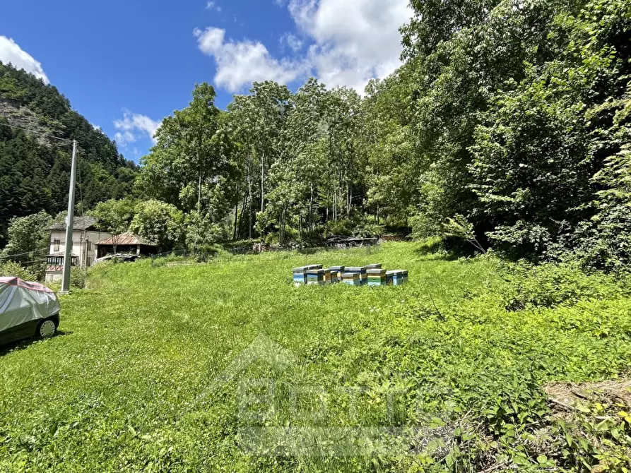 Immagine 2 di Terreno in vendita  in frazione Casacce a Mollia