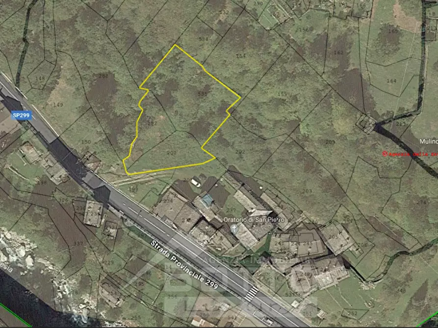 Immagine 3 di Terreno in vendita  in frazione Casacce a Mollia