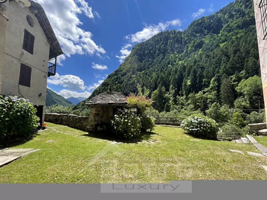 Immagine 6 di Terreno in vendita  in frazione Casacce a Mollia