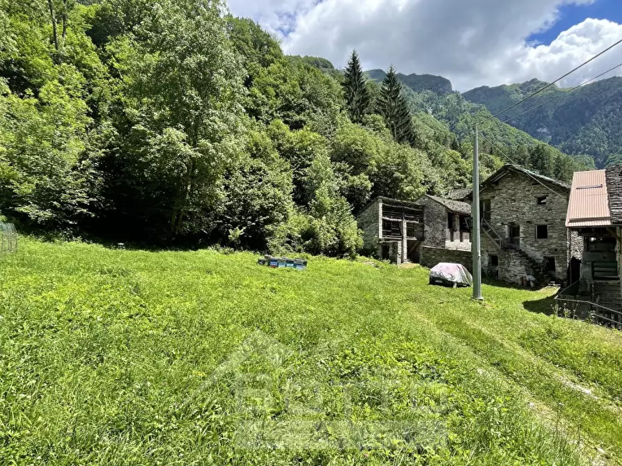 Immagine 7 di Terreno in vendita  in frazione Casacce a Mollia
