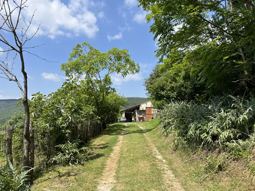 Immagine 1 di Rustico / casale in vendita  a Villaga