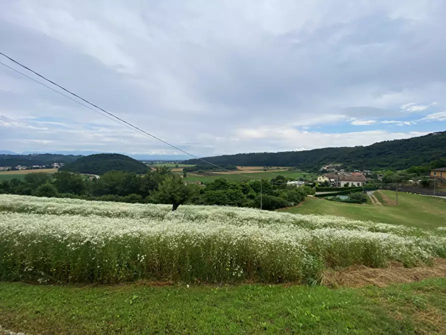 Immagine 42 di Attività commerciale in vendita  in Via San Giovanni Battista, 61 a Arcugnano