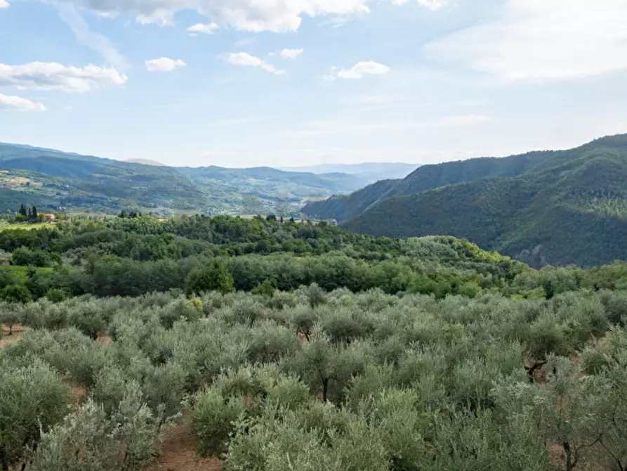 Immagine 1 di Terreno in vendita  in Via Colognolese a Pontassieve