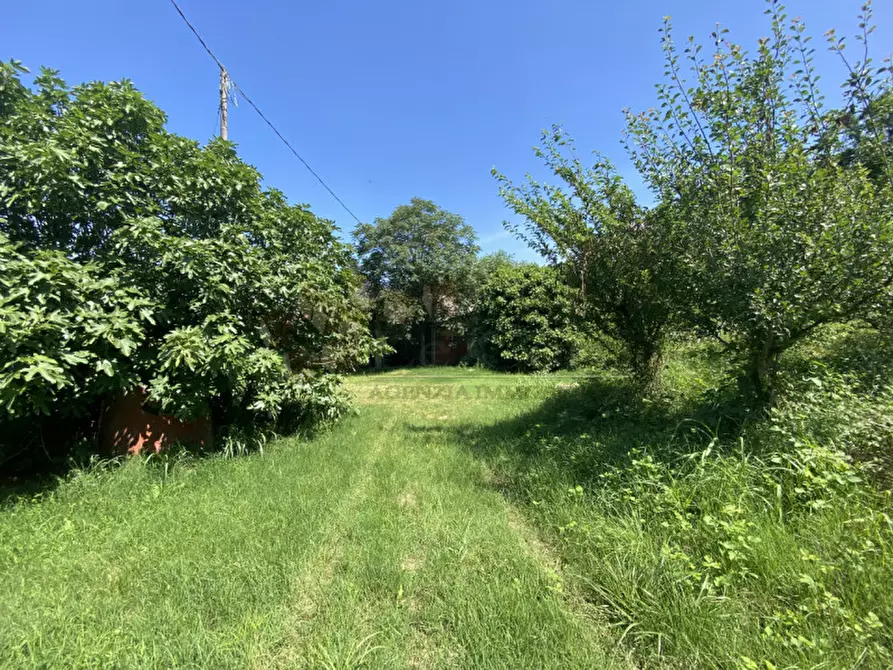 Immagine 2 di Casa indipendente in vendita  a Val Liona