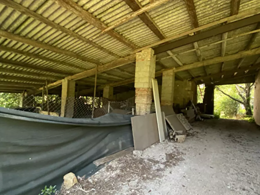 Immagine 3 di Casa indipendente in vendita  a Val Liona