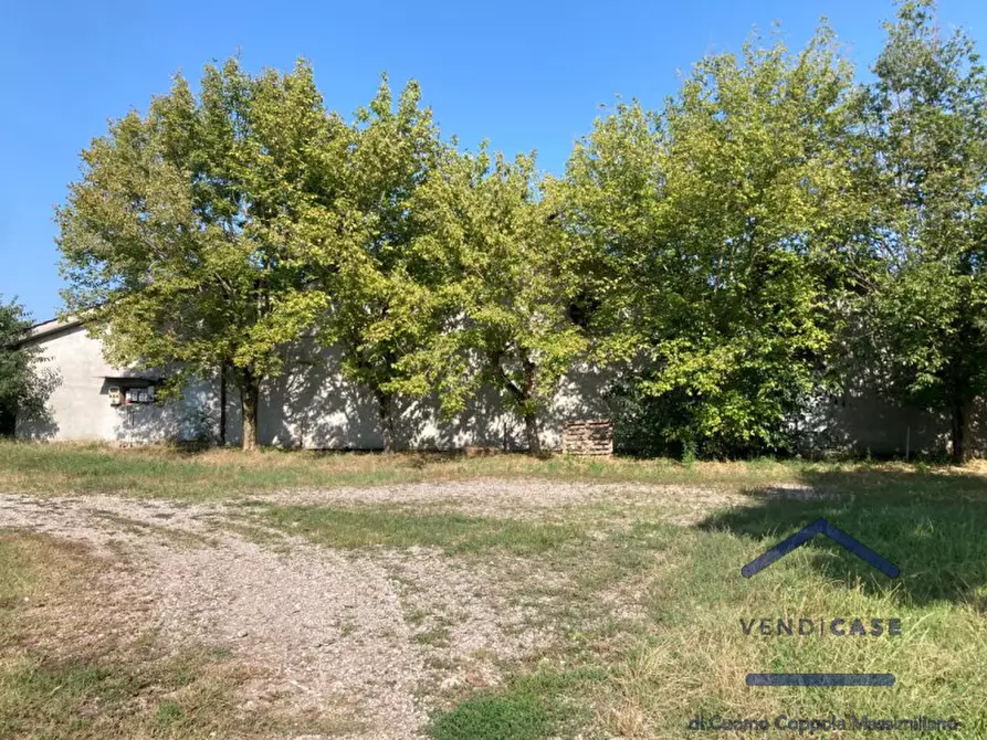 Immagine 15 di Villa in vendita  in CASCINA PEGORSINO a Acquafredda