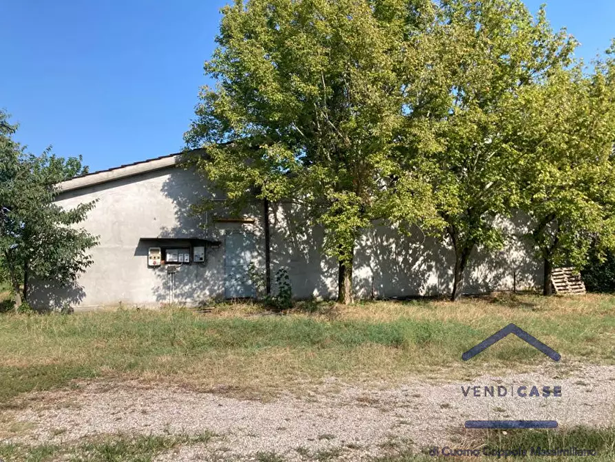 Immagine 17 di Villa in vendita  in CASCINA PEGORSINO a Acquafredda