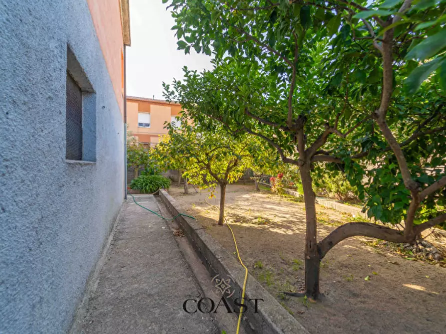 Immagine 28 di Casa indipendente in vendita  in Via Sardegna a Oschiri