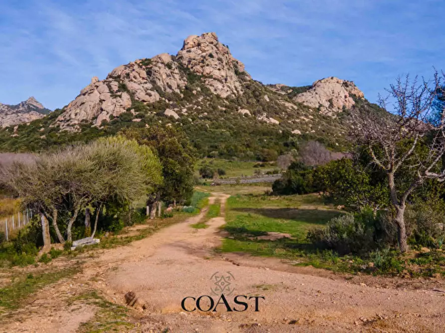 Immagine 1 di Terreno in vendita  in Loc. Moru a Arzachena