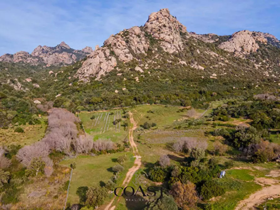 Immagine 2 di Terreno in vendita  in Loc. Moru a Arzachena