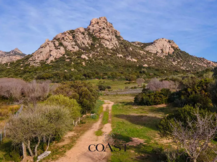 Immagine 3 di Terreno in vendita  in Loc. Moru a Arzachena