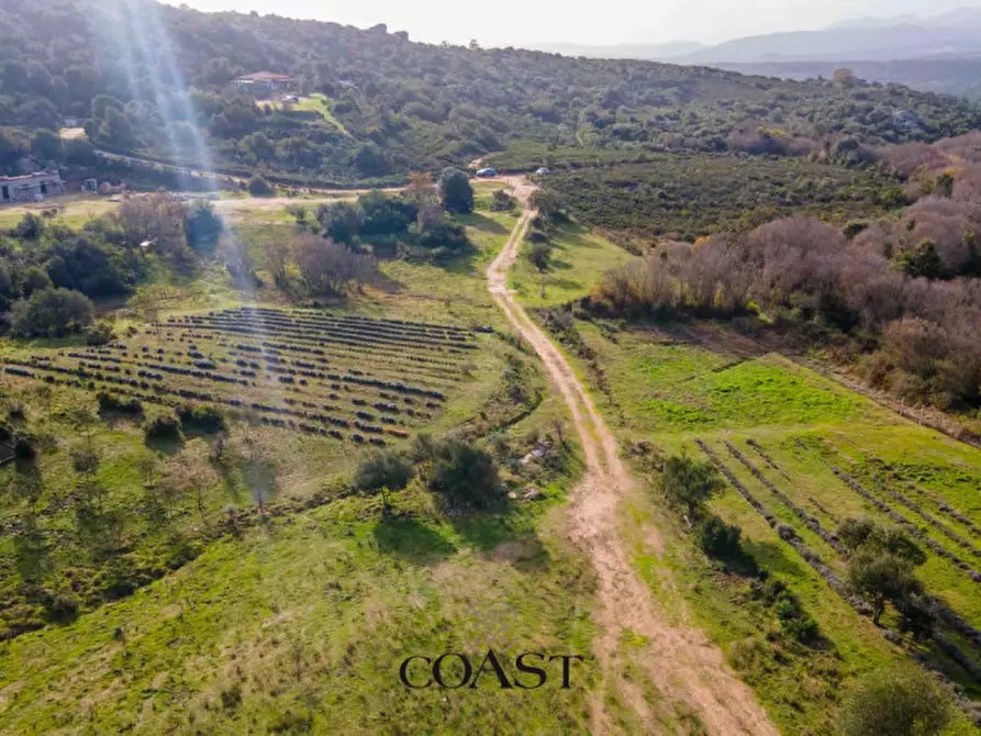 Immagine 4 di Terreno in vendita  in Loc. Moru a Arzachena