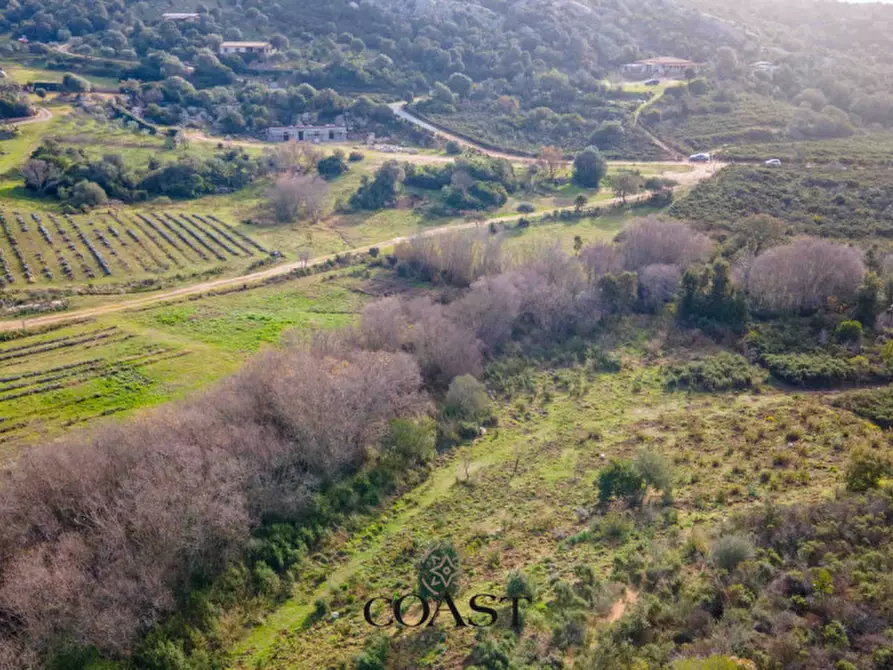 Immagine 6 di Terreno in vendita  in Loc. Moru a Arzachena