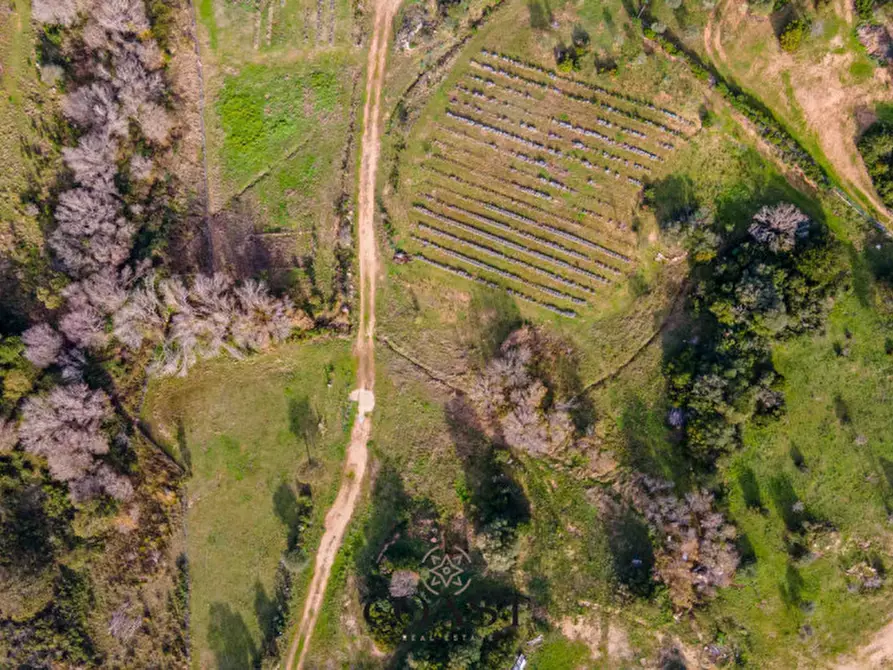 Immagine 7 di Terreno in vendita  in Loc. Moru a Arzachena