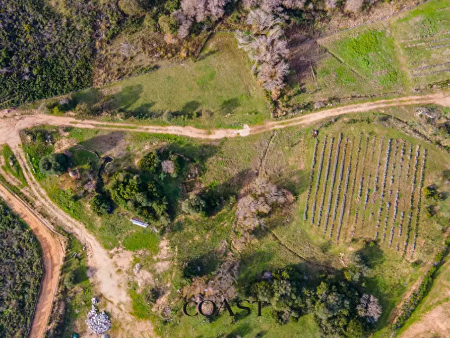 Immagine 8 di Terreno in vendita  in Loc. Moru a Arzachena