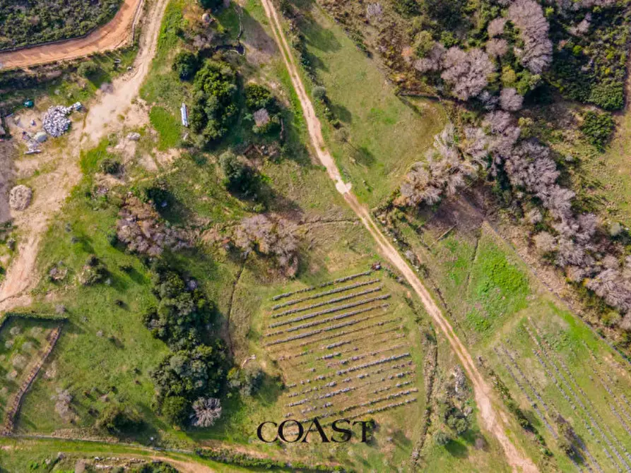 Immagine 9 di Terreno in vendita  in Loc. Moru a Arzachena