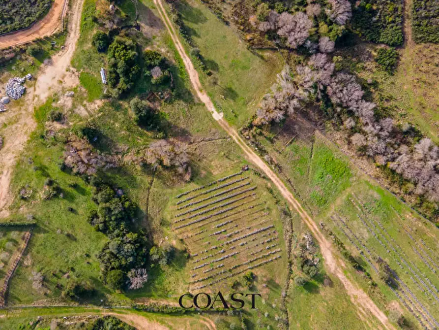 Immagine 10 di Terreno in vendita  in Loc. Moru a Arzachena