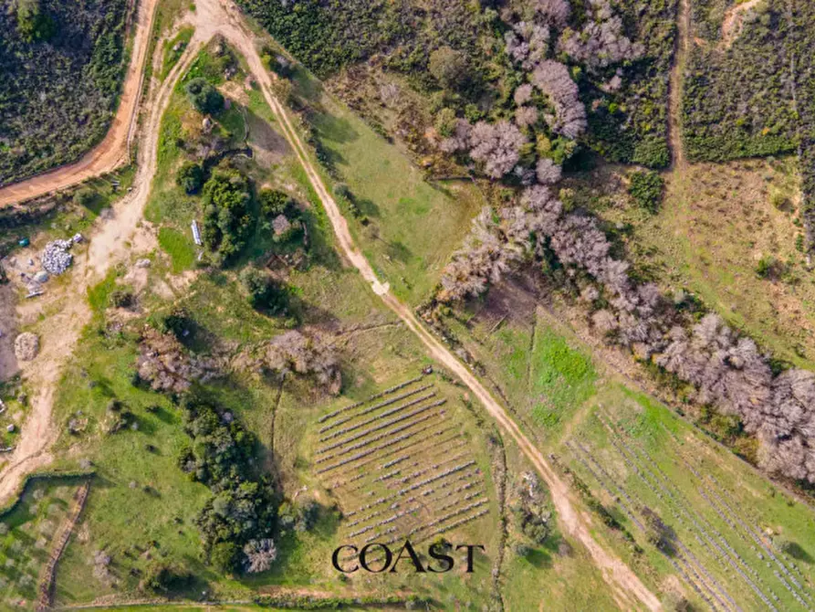 Immagine 11 di Terreno in vendita  in Loc. Moru a Arzachena