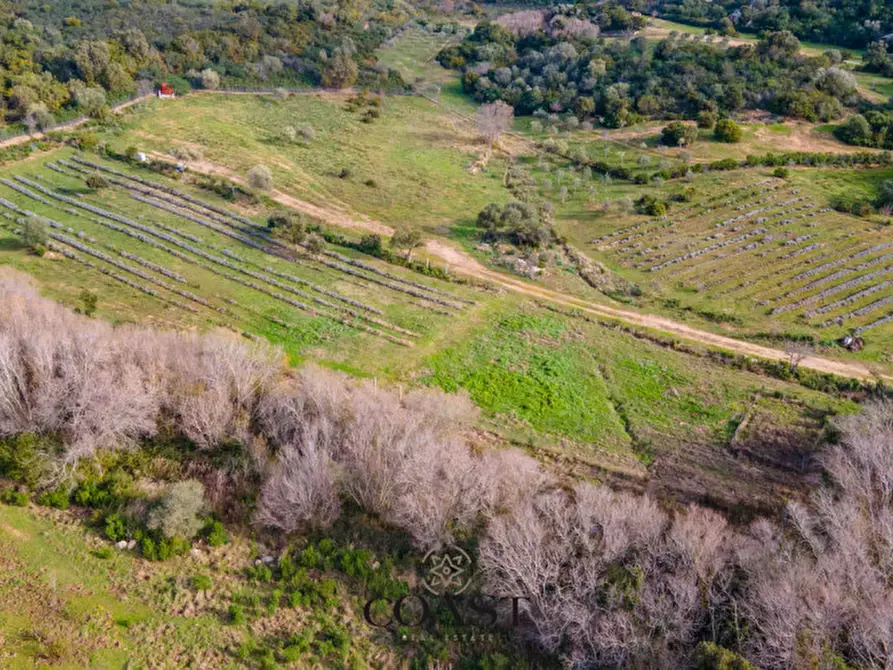 Immagine 12 di Terreno in vendita  in Loc. Moru a Arzachena