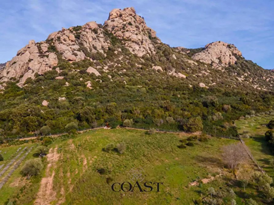 Immagine 13 di Terreno in vendita  in Loc. Moru a Arzachena