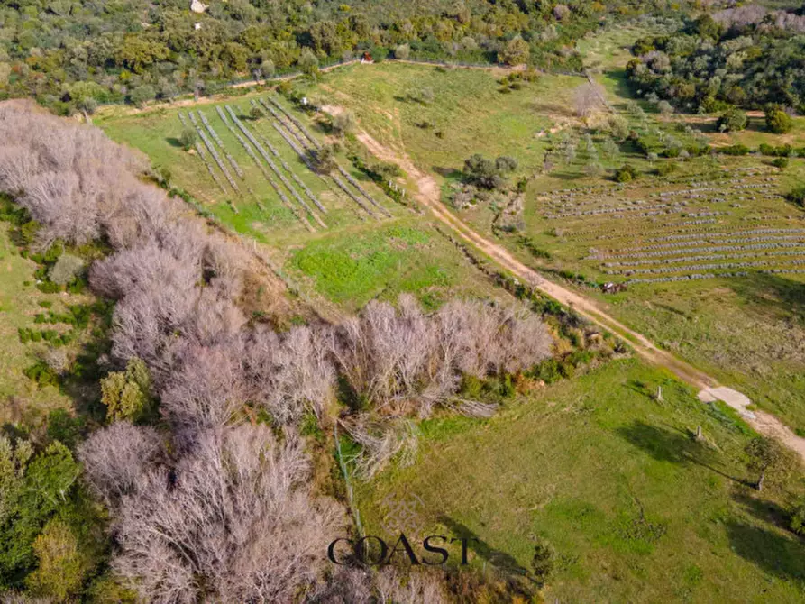 Immagine 14 di Terreno in vendita  in Loc. Moru a Arzachena