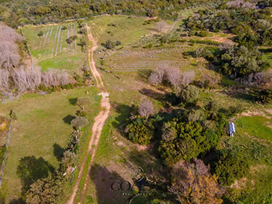 Immagine 15 di Terreno in vendita  in Loc. Moru a Arzachena