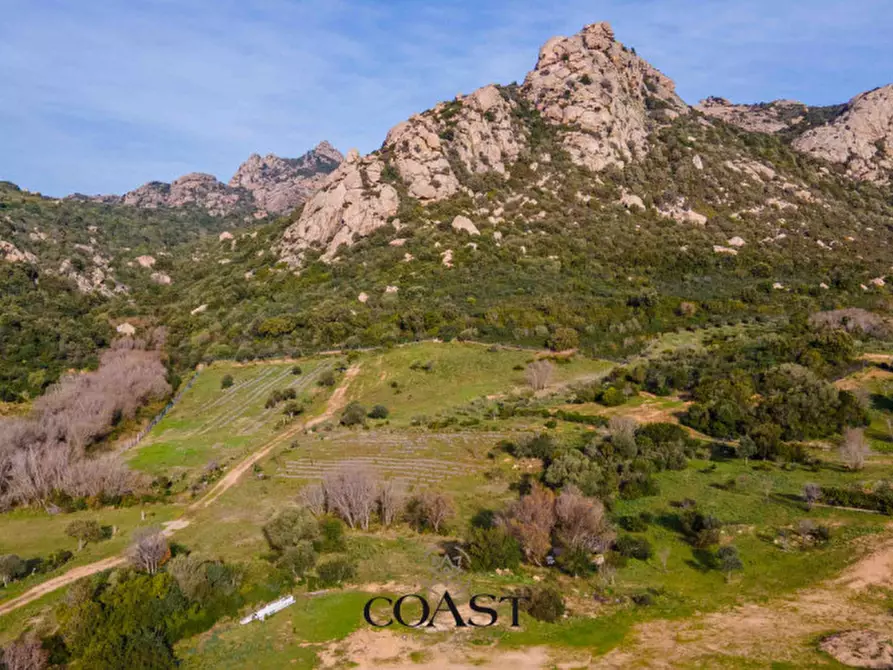 Immagine 16 di Terreno in vendita  in Loc. Moru a Arzachena