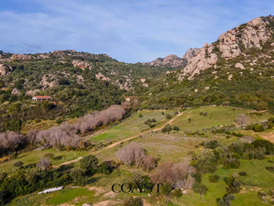 Immagine 17 di Terreno in vendita  in Loc. Moru a Arzachena