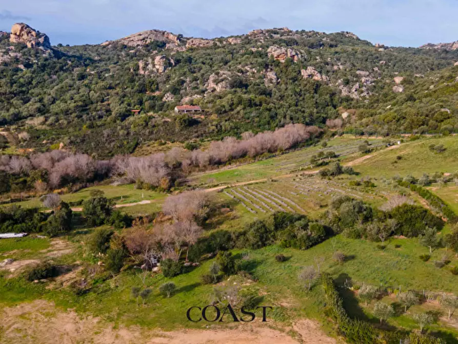 Immagine 18 di Terreno in vendita  in Loc. Moru a Arzachena
