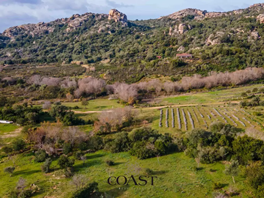 Immagine 19 di Terreno in vendita  in Loc. Moru a Arzachena