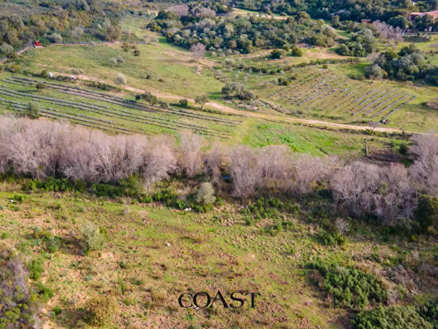 Immagine 20 di Terreno in vendita  in Loc. Moru a Arzachena