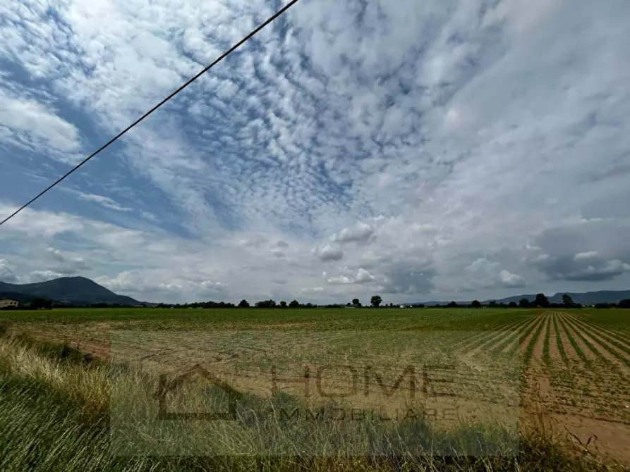 Immagine 2 di Terreno in vendita  in via sacchette a Cervarese Santa Croce