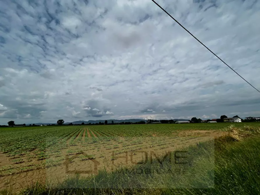 Immagine 9 di Terreno in vendita  in via sacchette a Cervarese Santa Croce