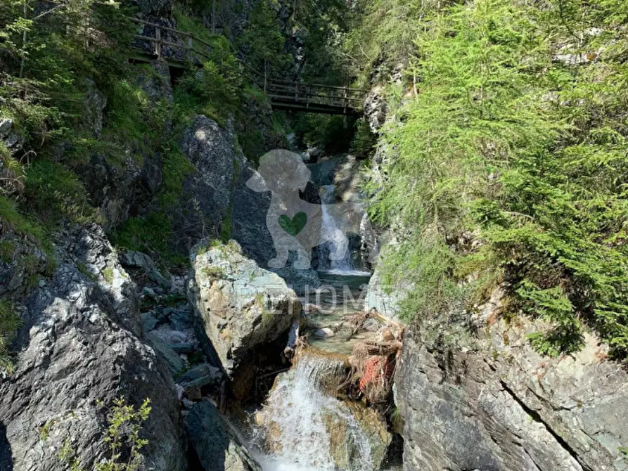 Immagine 6 di Villa in vendita  in Borgata MULBACH Sappada a Sappada