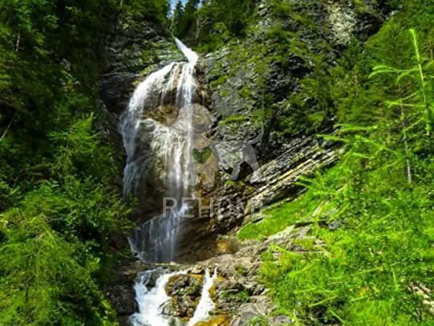 Immagine 7 di Villa in vendita  in Borgata MULBACH Sappada a Sappada