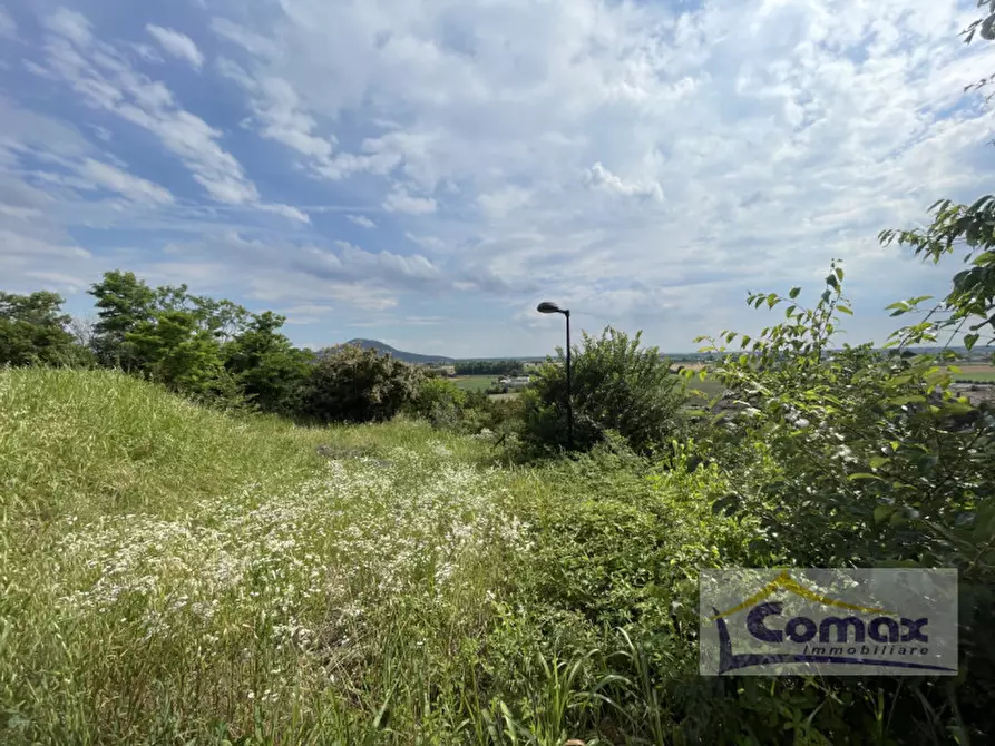 Immagine 3 di Terreno in vendita  in Via San Vito a Albettone