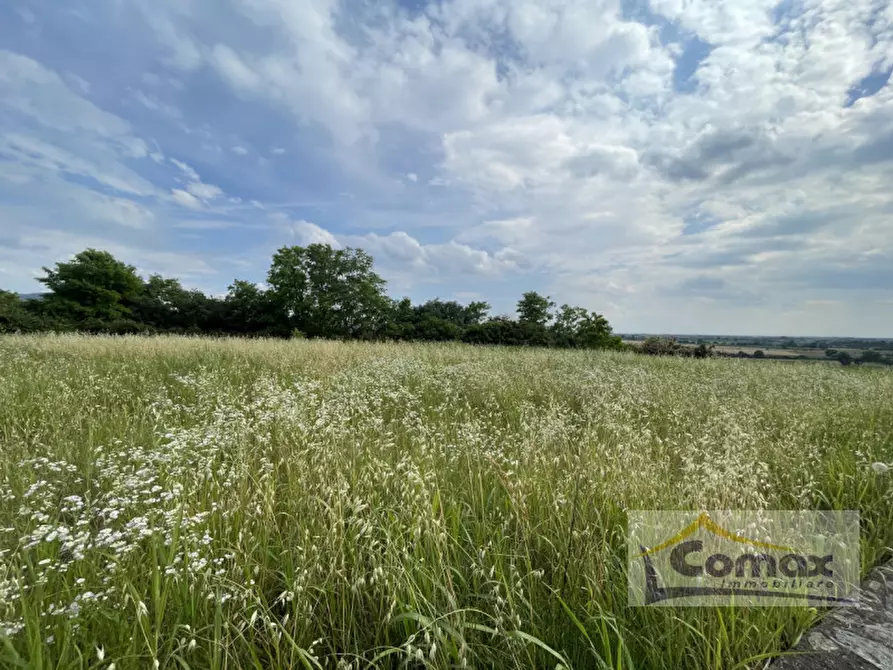 Immagine 10 di Terreno in vendita  in Via San Vito a Albettone