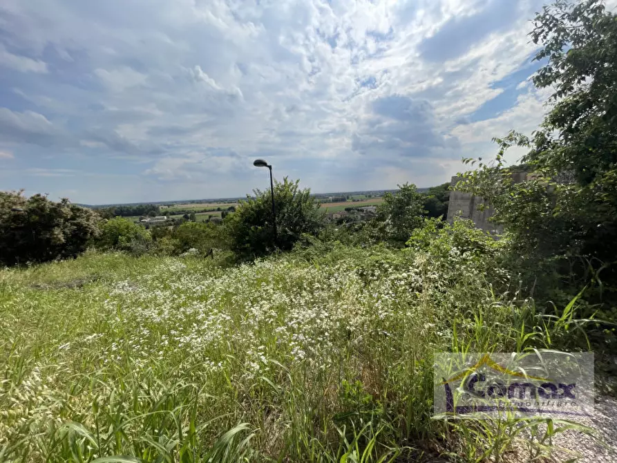 Immagine 6 di Terreno in vendita  in Via San Vito a Albettone