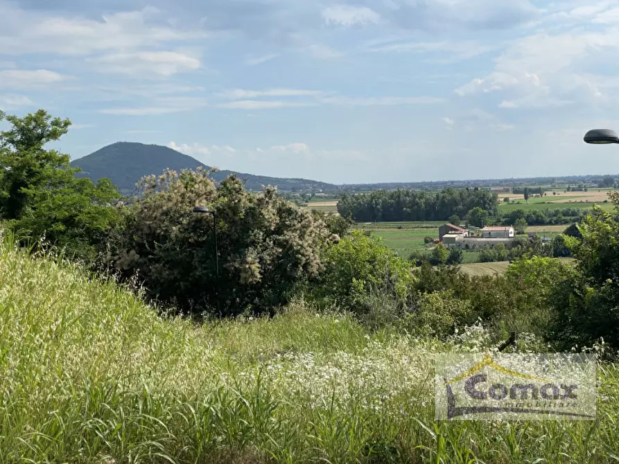 Immagine 8 di Terreno in vendita  in Via San Vito a Albettone